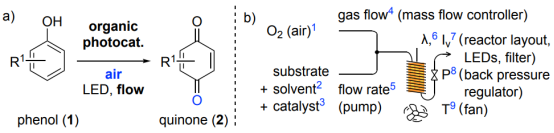 圖 1 使用加壓空氣、可見光和有機光催化劑對苯酚進行有氧流動氧化