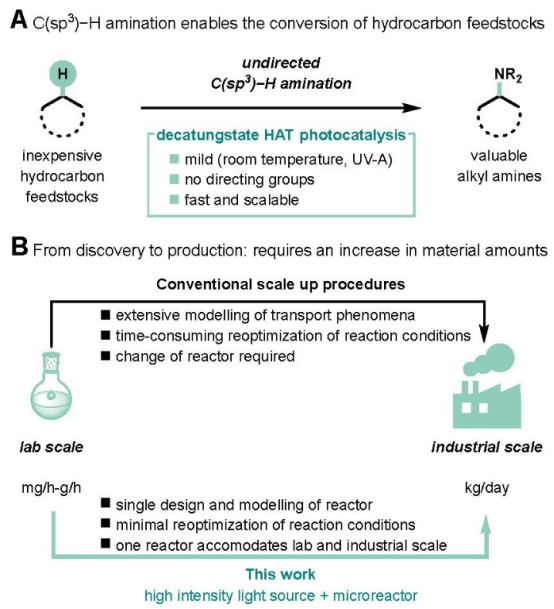 圖1.光催化C(sp3)-H鍵胺化及放大。