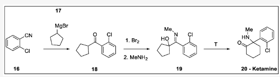  圖6. Parke–Davis and Company 1956年合成的氯胺酮：16-鄰氯苯甲腈、17-環(huán)戊基溴化鎂、18- (2-氯苯基)(環(huán)戊基)甲酮、19- (2-氯苯基)(甲基亞氨基)甲基環(huán)戊烷-1- ol, 20 —氯胺酮。