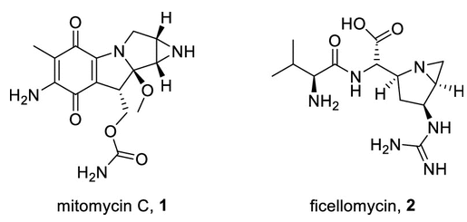 圖 1. 絲裂霉素和非昔羅霉素的結(jié)構(gòu)。