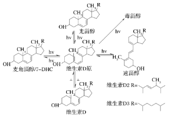 圖2 VD的光化學(xué)反應(yīng)