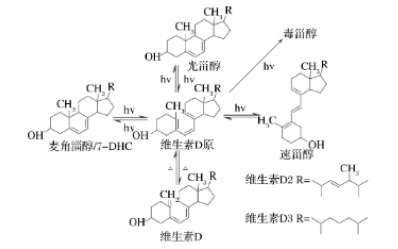 光化學合成維生素D